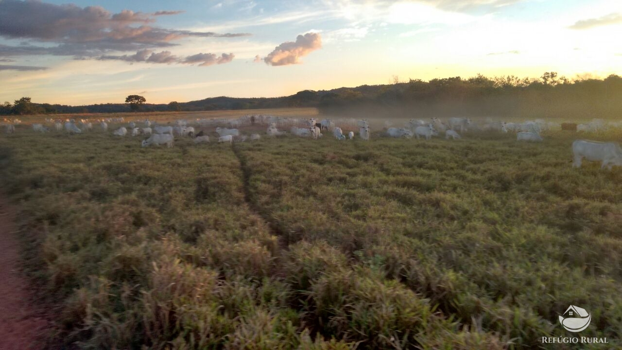 Fazenda à venda com 1 quarto, 198198000m² - Foto 13