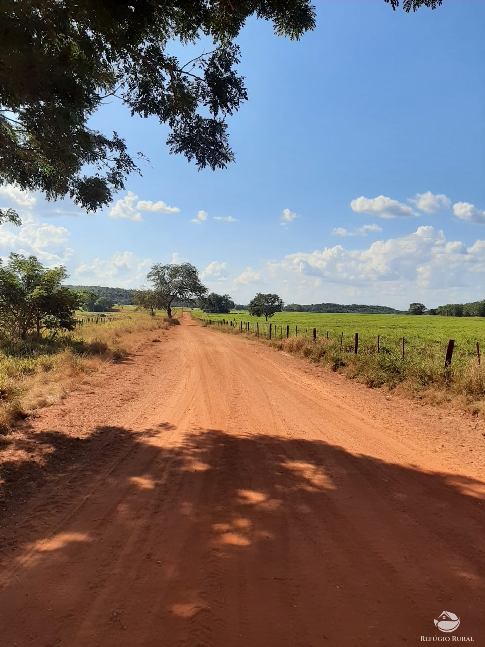 Fazenda à venda com 1 quarto, 198198000m² - Foto 45