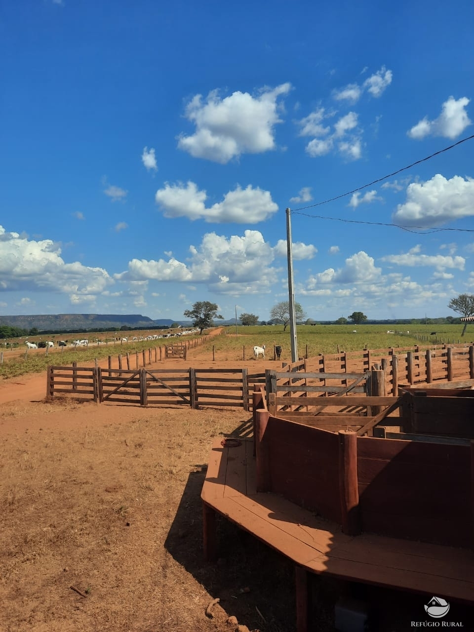 Fazenda à venda com 1 quarto, 198198000m² - Foto 24