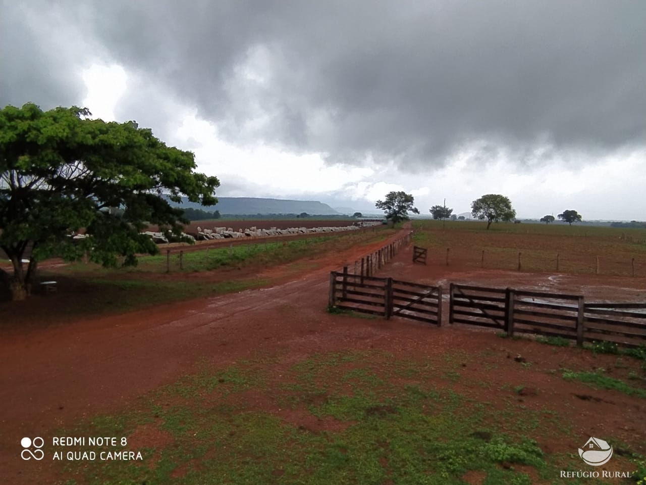 Fazenda à venda com 1 quarto, 198198000m² - Foto 32