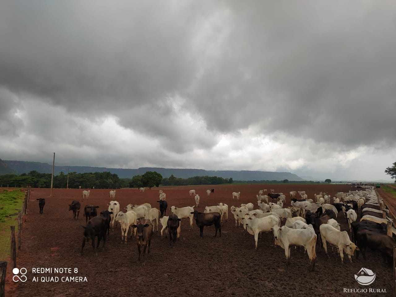 Fazenda à venda com 1 quarto, 198198000m² - Foto 44