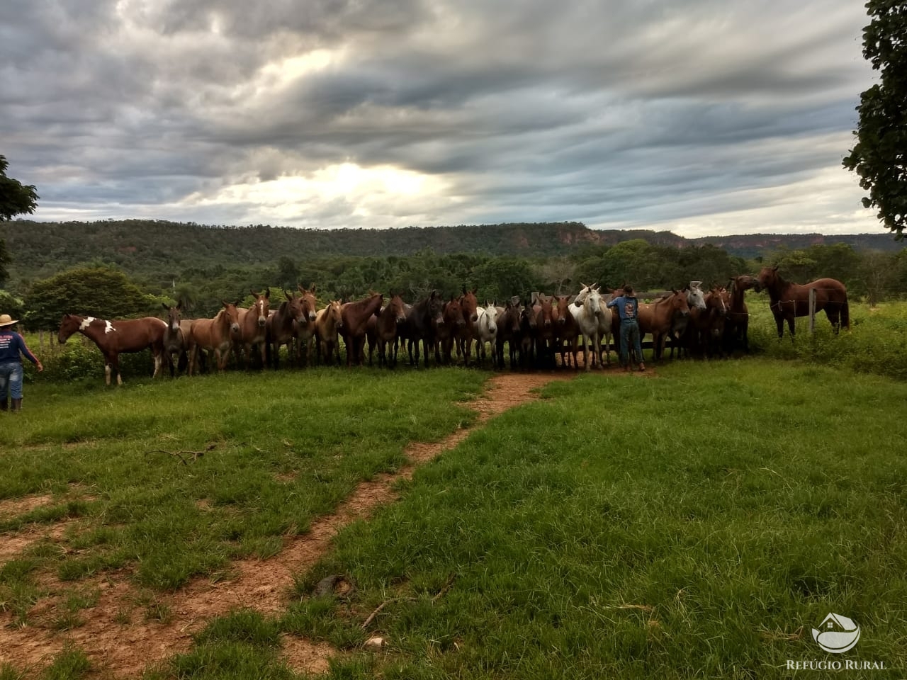 Fazenda à venda com 1 quarto, 198198000m² - Foto 25