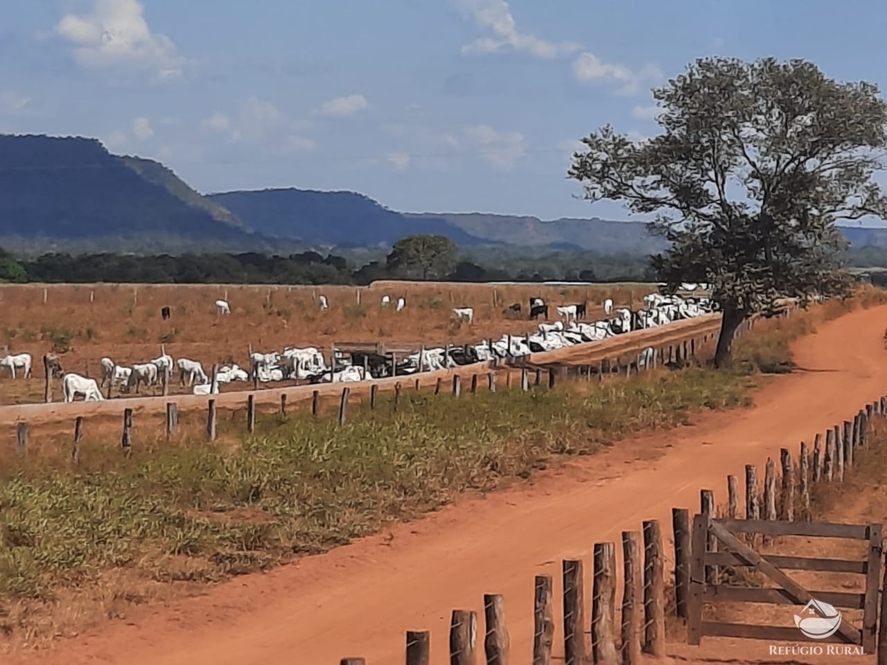 Fazenda à venda com 1 quarto, 198198000m² - Foto 27