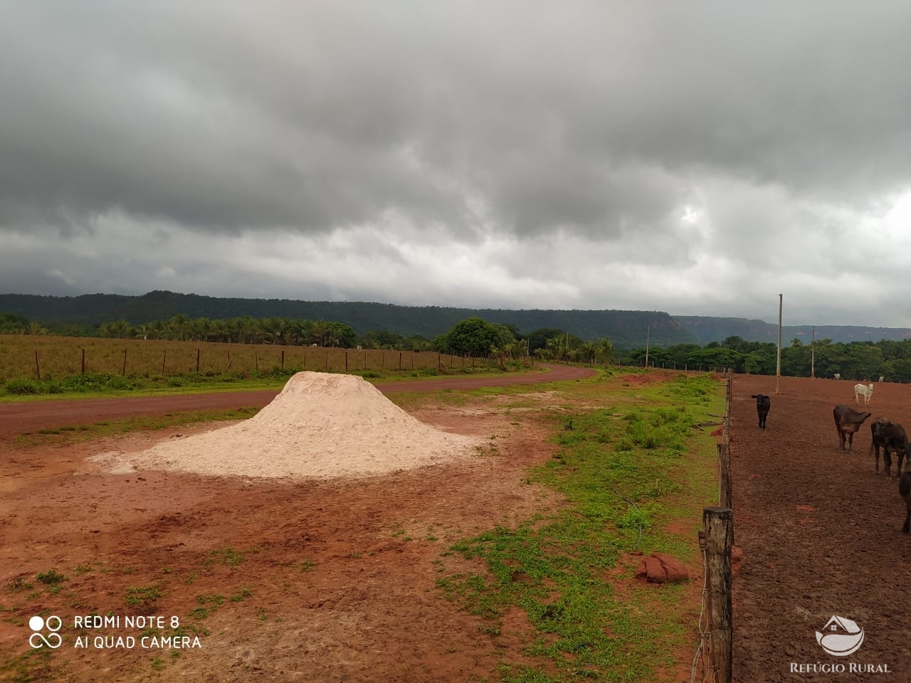 Fazenda à venda com 1 quarto, 198198000m² - Foto 30