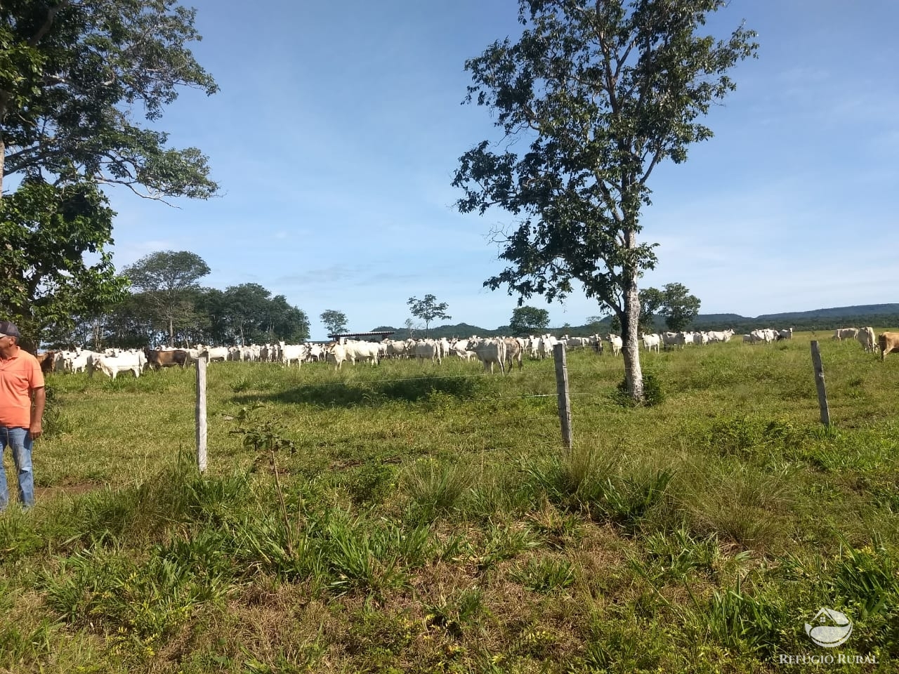 Fazenda à venda com 1 quarto, 198198000m² - Foto 20