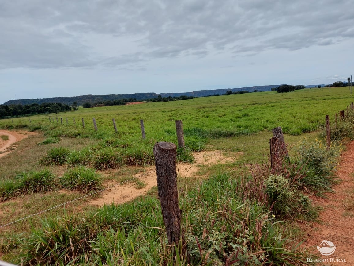 Fazenda à venda com 1 quarto, 198198000m² - Foto 48