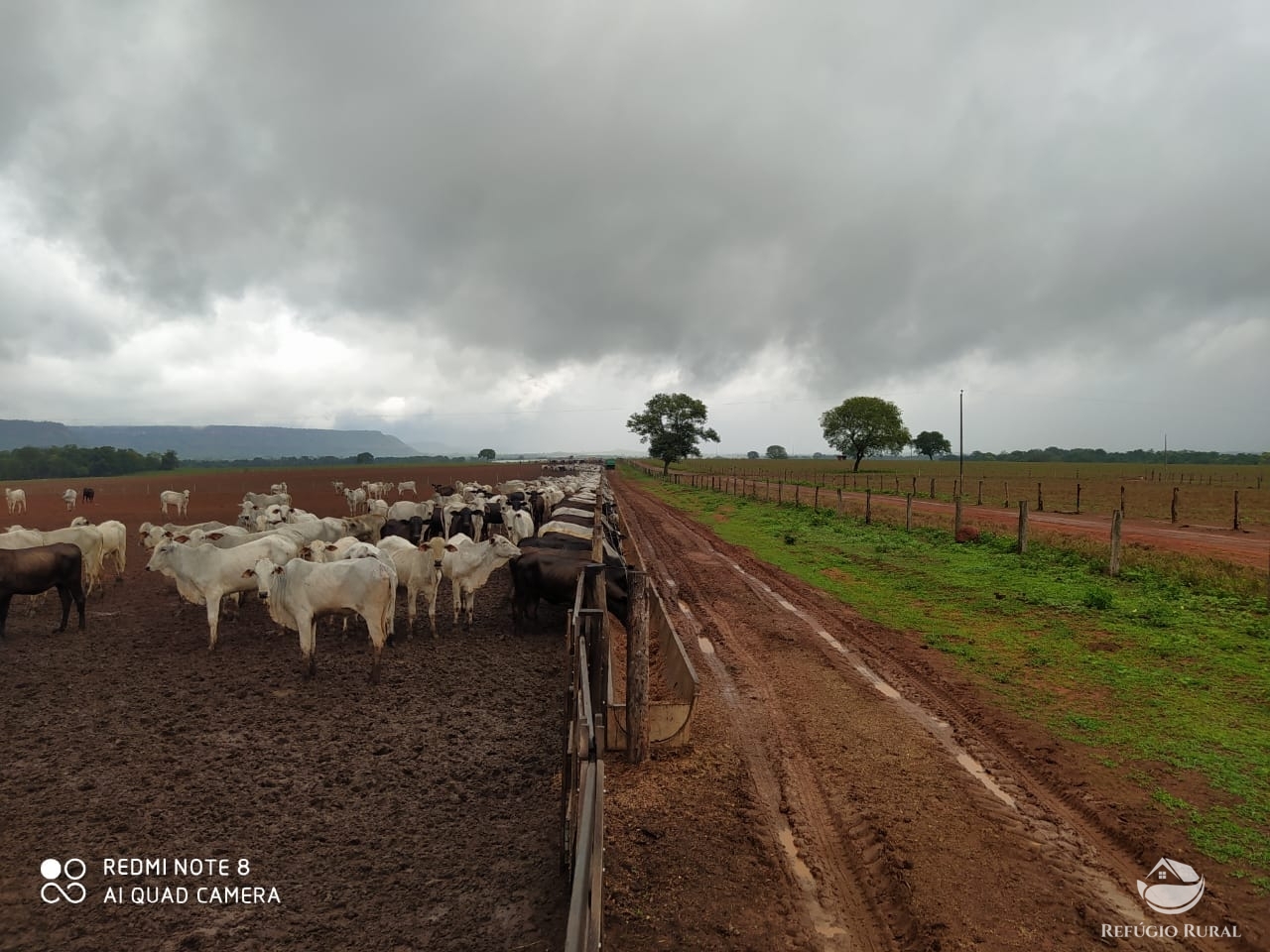 Fazenda à venda com 1 quarto, 198198000m² - Foto 37