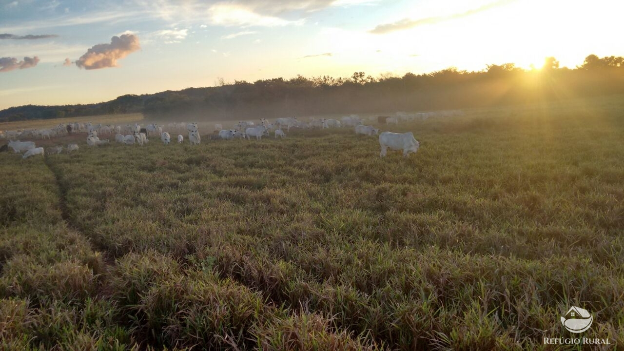 Fazenda à venda com 1 quarto, 198198000m² - Foto 14