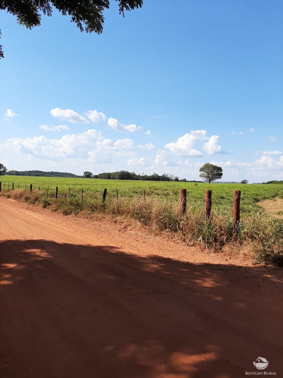 Fazenda à venda com 1 quarto, 198198000m² - Foto 28