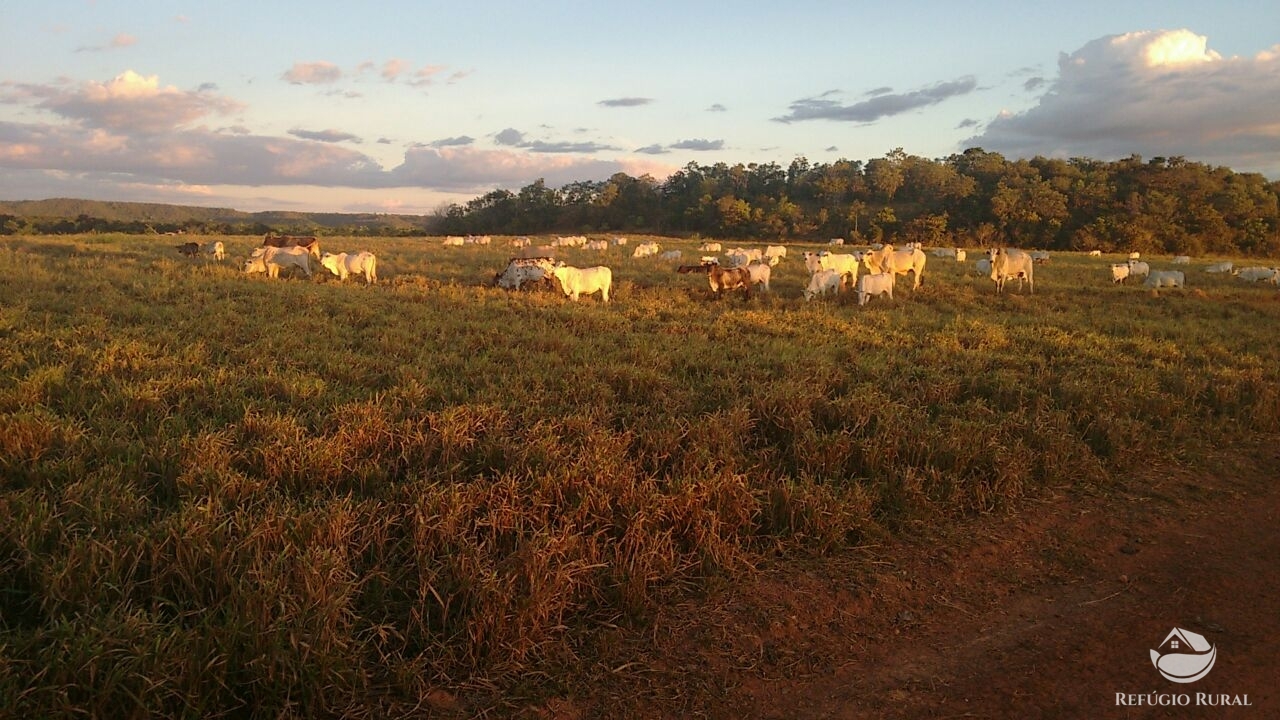 Fazenda à venda com 1 quarto, 198198000m² - Foto 18