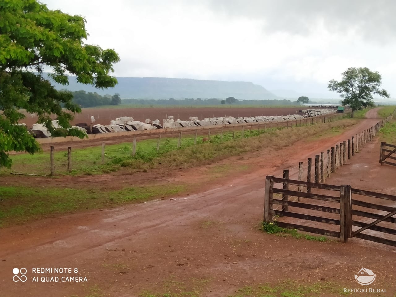 Fazenda à venda com 1 quarto, 198198000m² - Foto 38