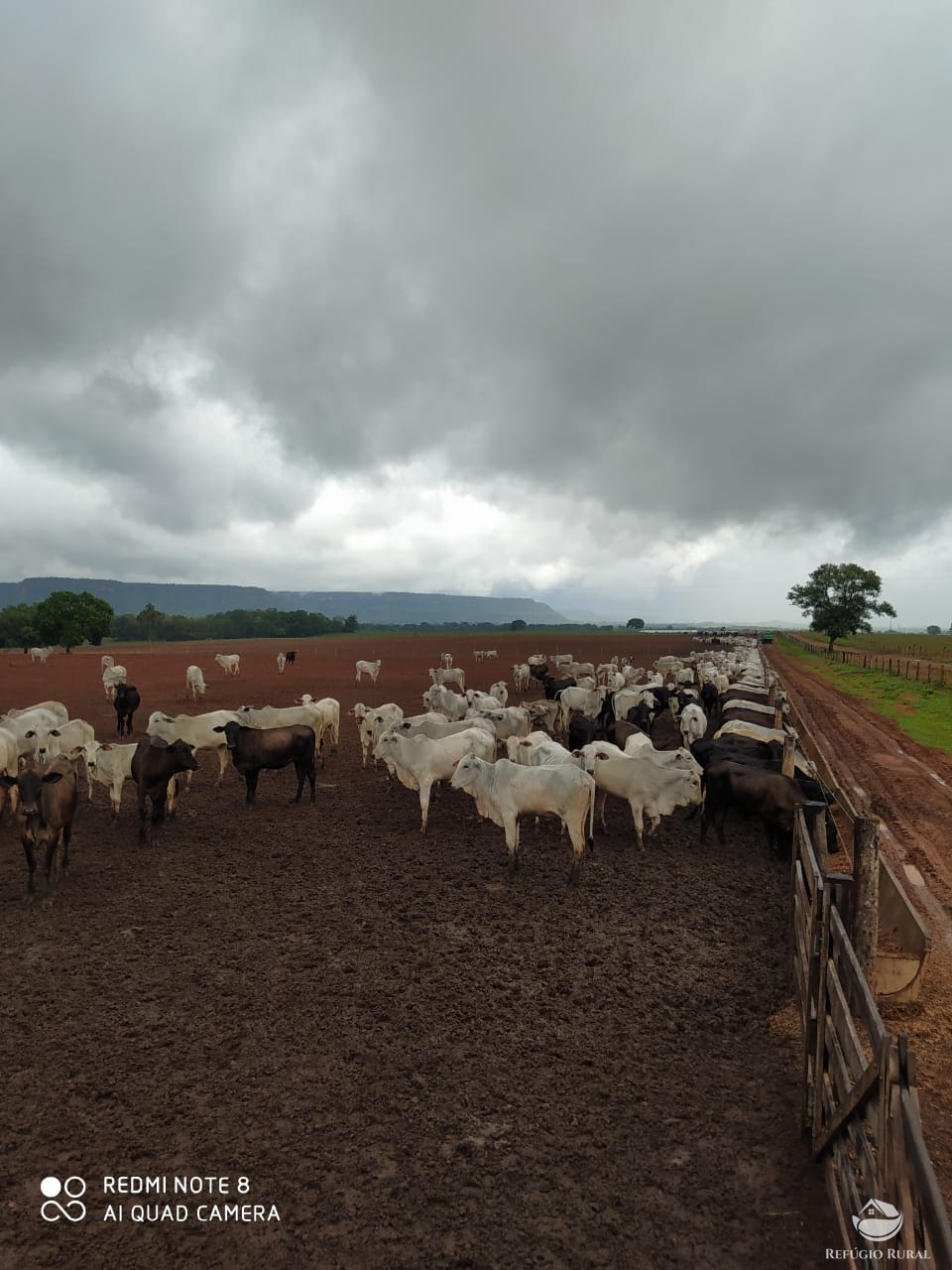 Fazenda à venda com 1 quarto, 198198000m² - Foto 29