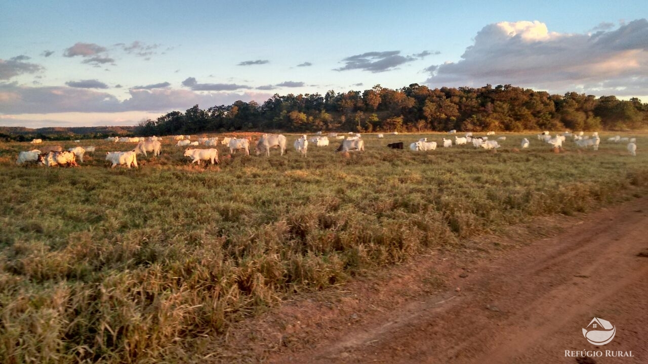 Fazenda à venda com 1 quarto, 198198000m² - Foto 19