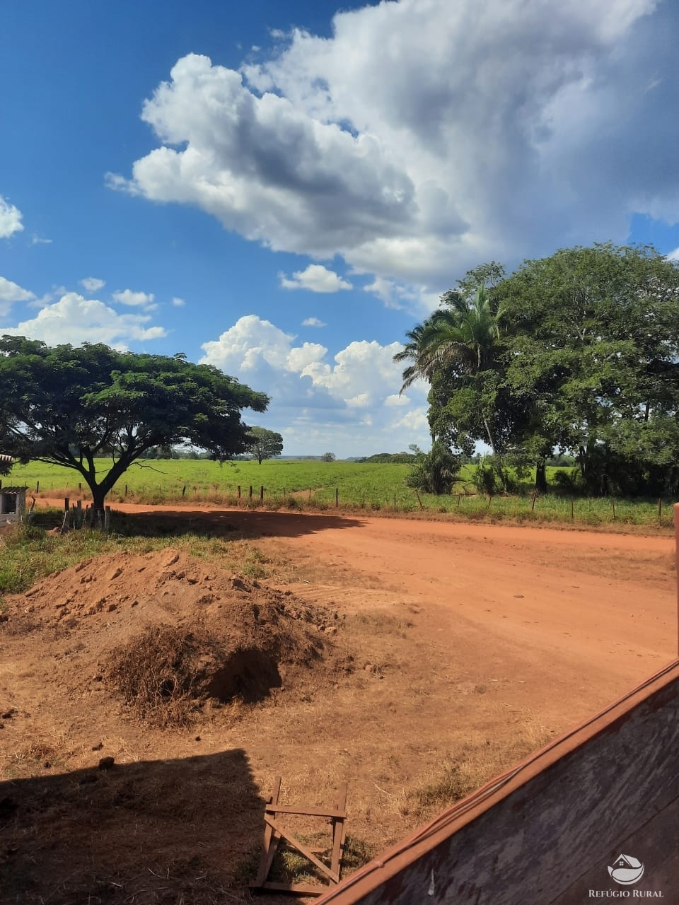 Fazenda à venda com 1 quarto, 198198000m² - Foto 4