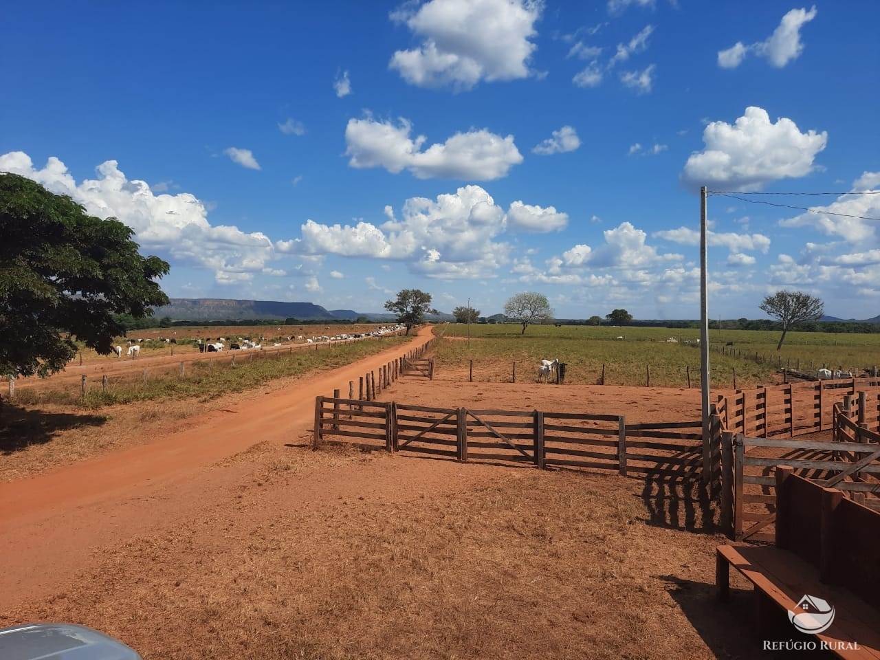 Fazenda à venda com 1 quarto, 198198000m² - Foto 31