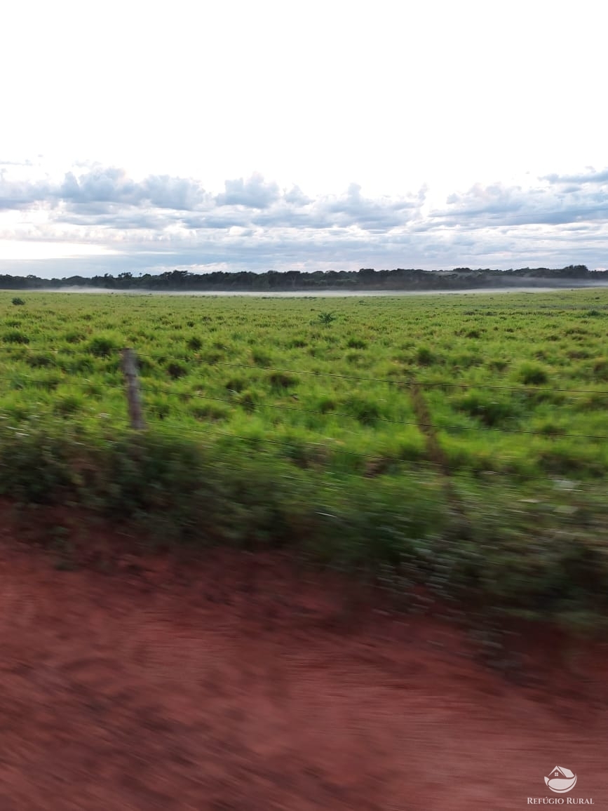 Fazenda à venda com 1 quarto, 198198000m² - Foto 5