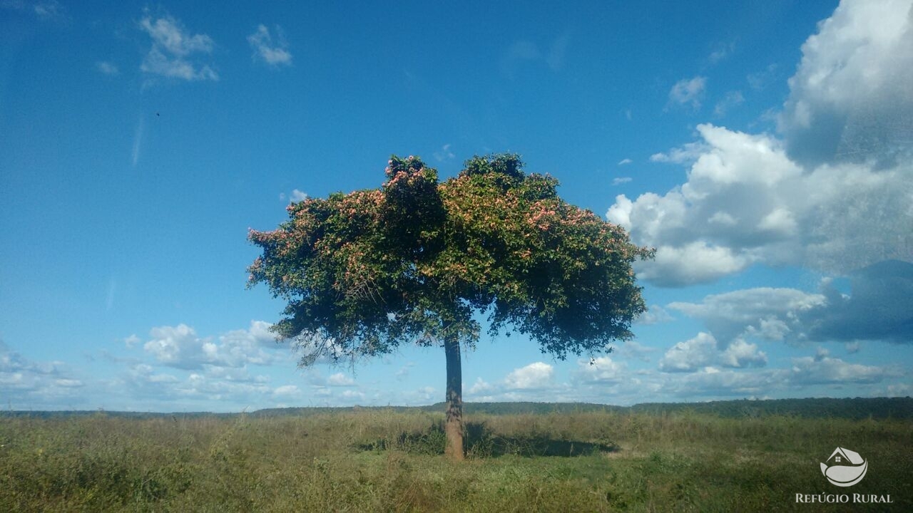 Fazenda à venda com 1 quarto, 198198000m² - Foto 15