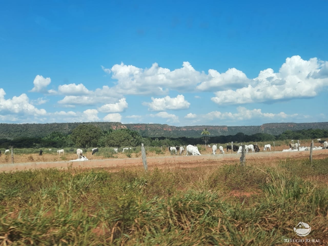 Fazenda à venda com 1 quarto, 198198000m² - Foto 43