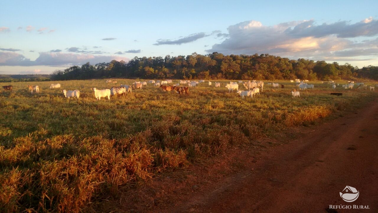 Fazenda à venda com 1 quarto, 198198000m² - Foto 1