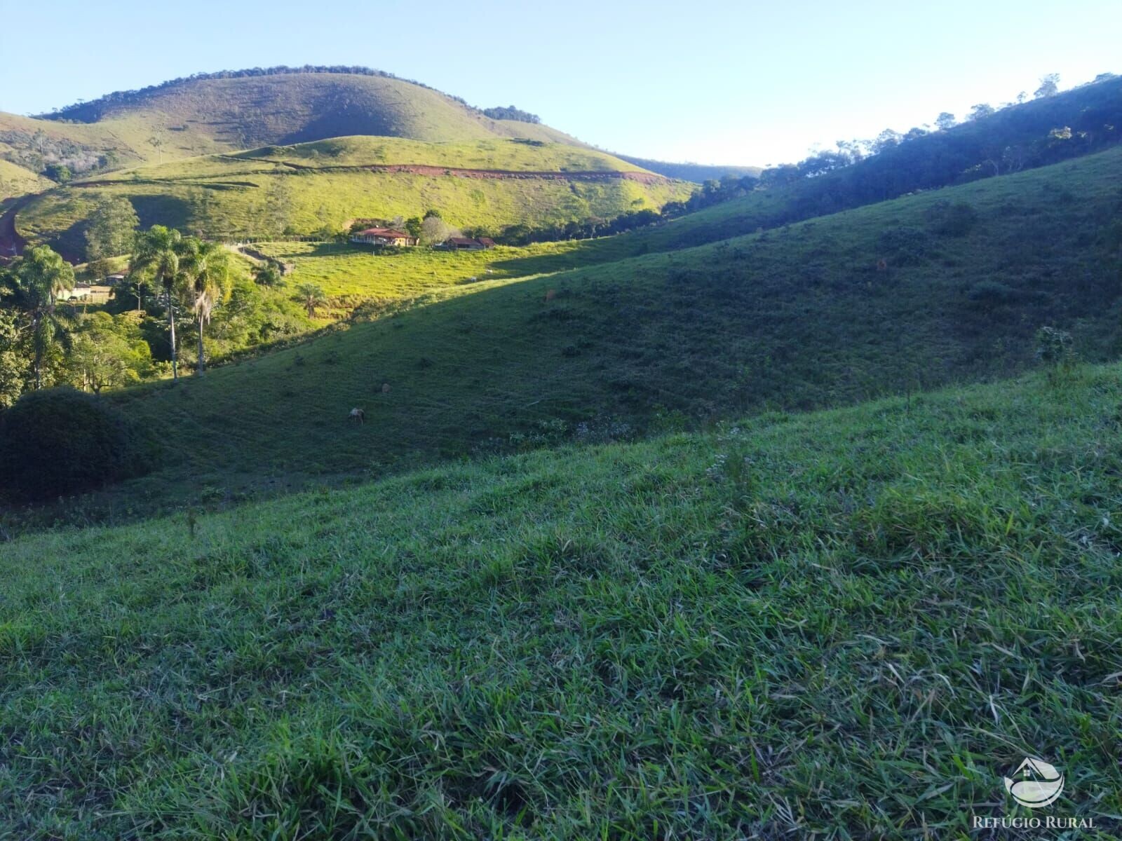 Terreno à venda, 21000m² - Foto 7