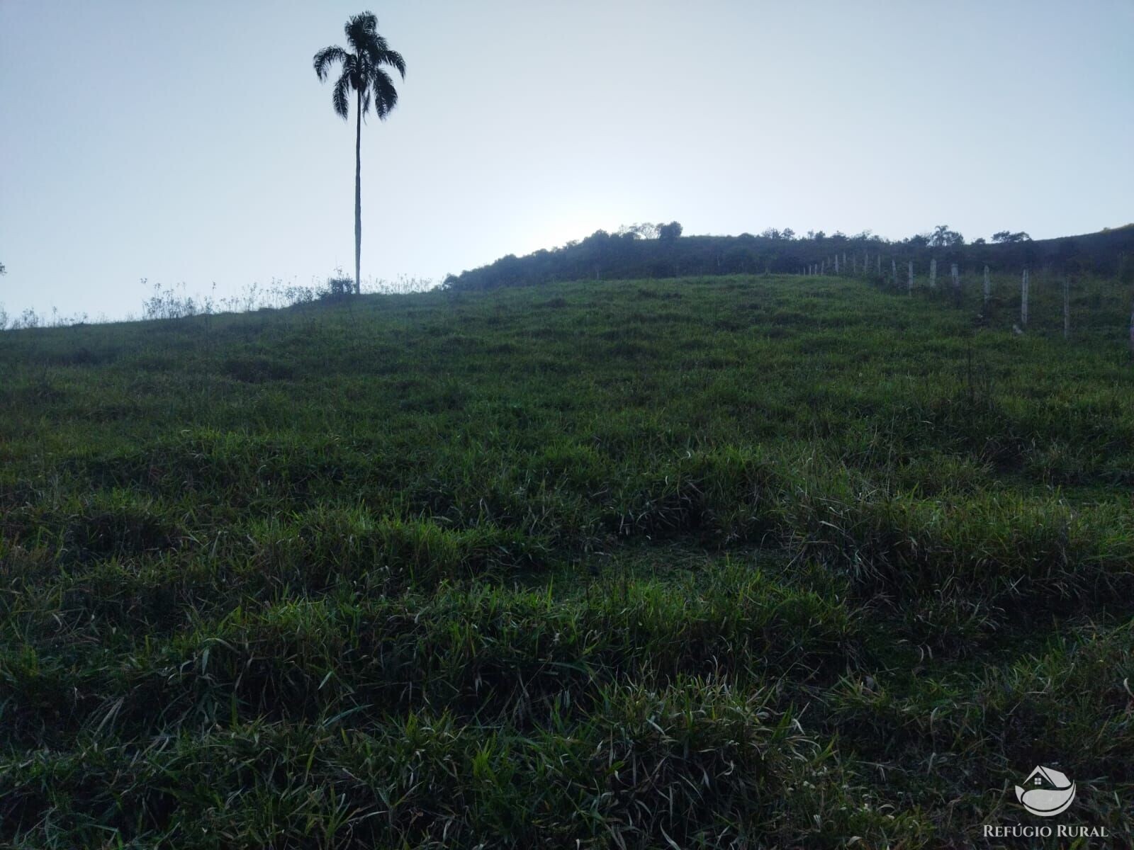 Terreno à venda, 21000m² - Foto 23