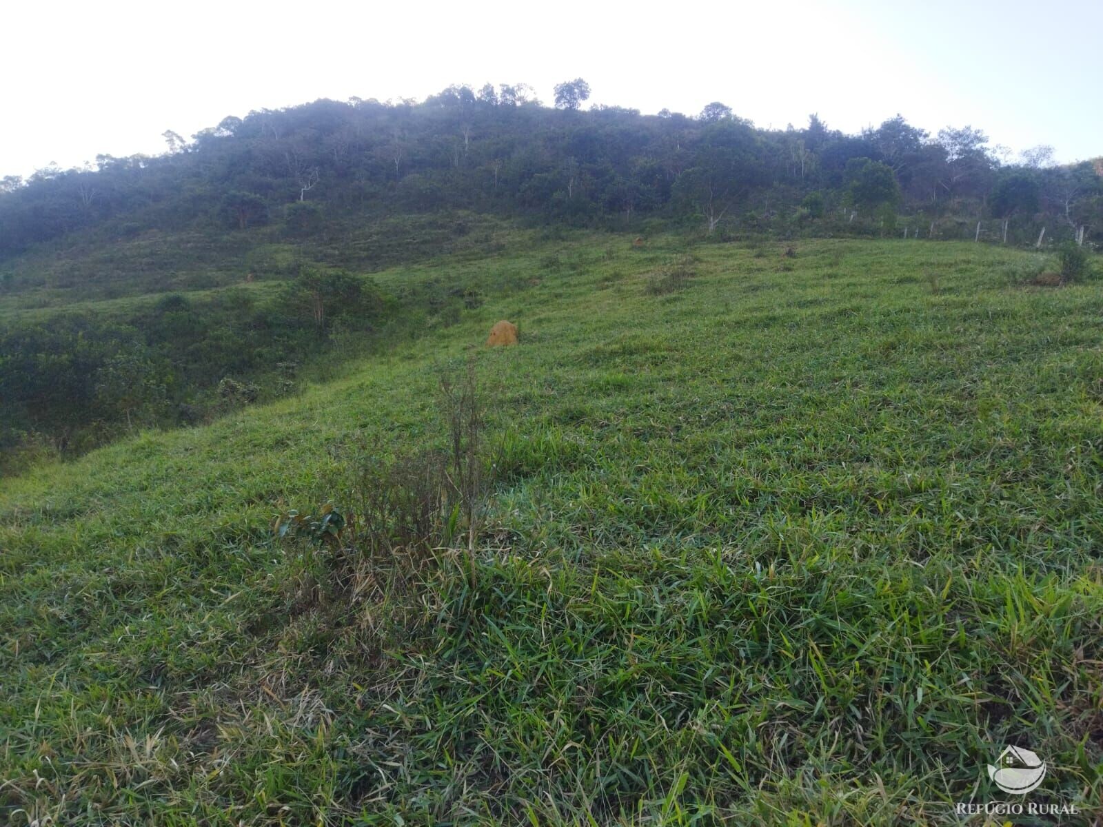 Terreno à venda, 21000m² - Foto 4