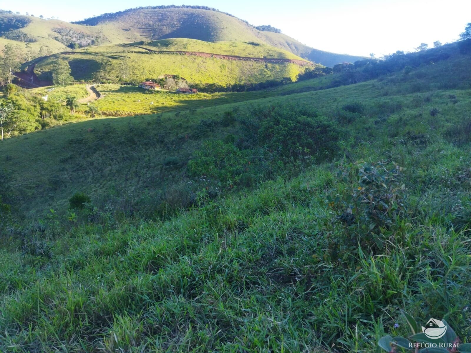 Terreno à venda, 21000m² - Foto 22