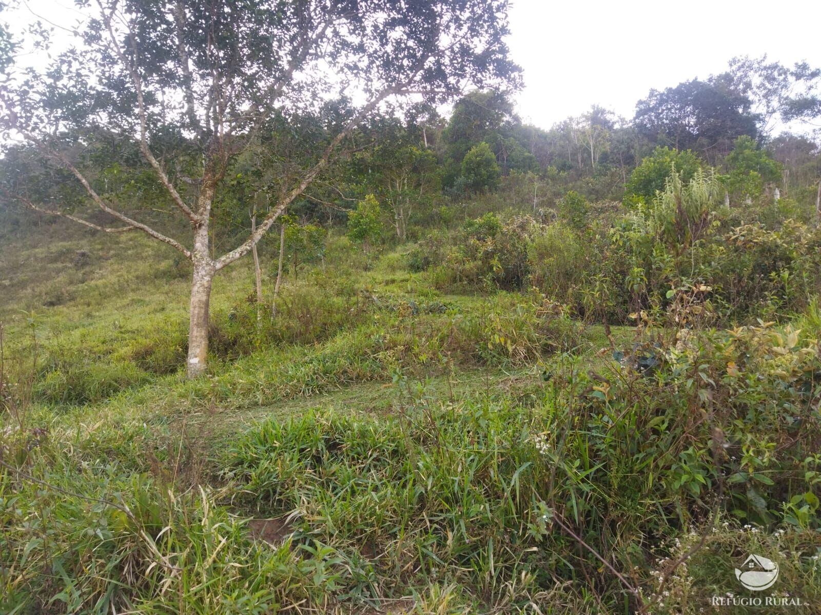 Terreno à venda, 21000m² - Foto 14