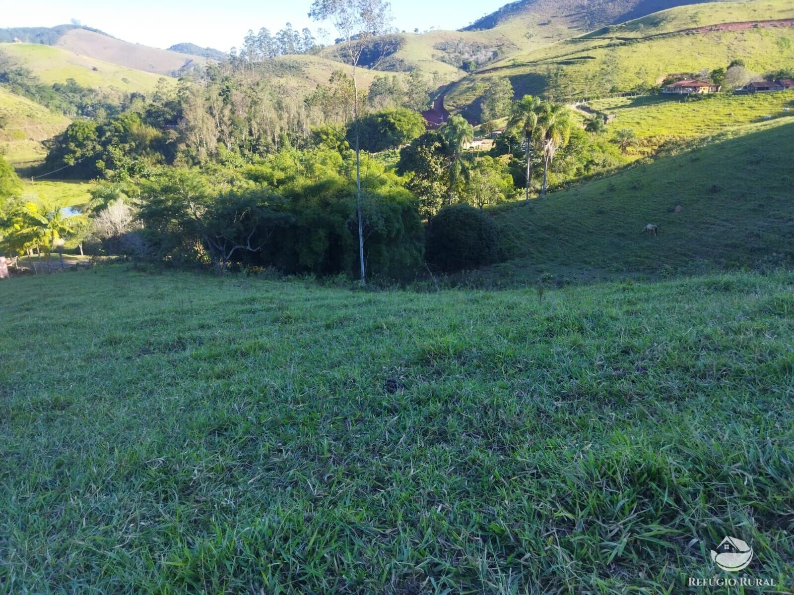 Terreno à venda, 21000m² - Foto 9