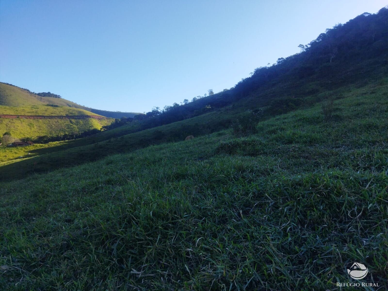 Terreno à venda, 21000m² - Foto 13