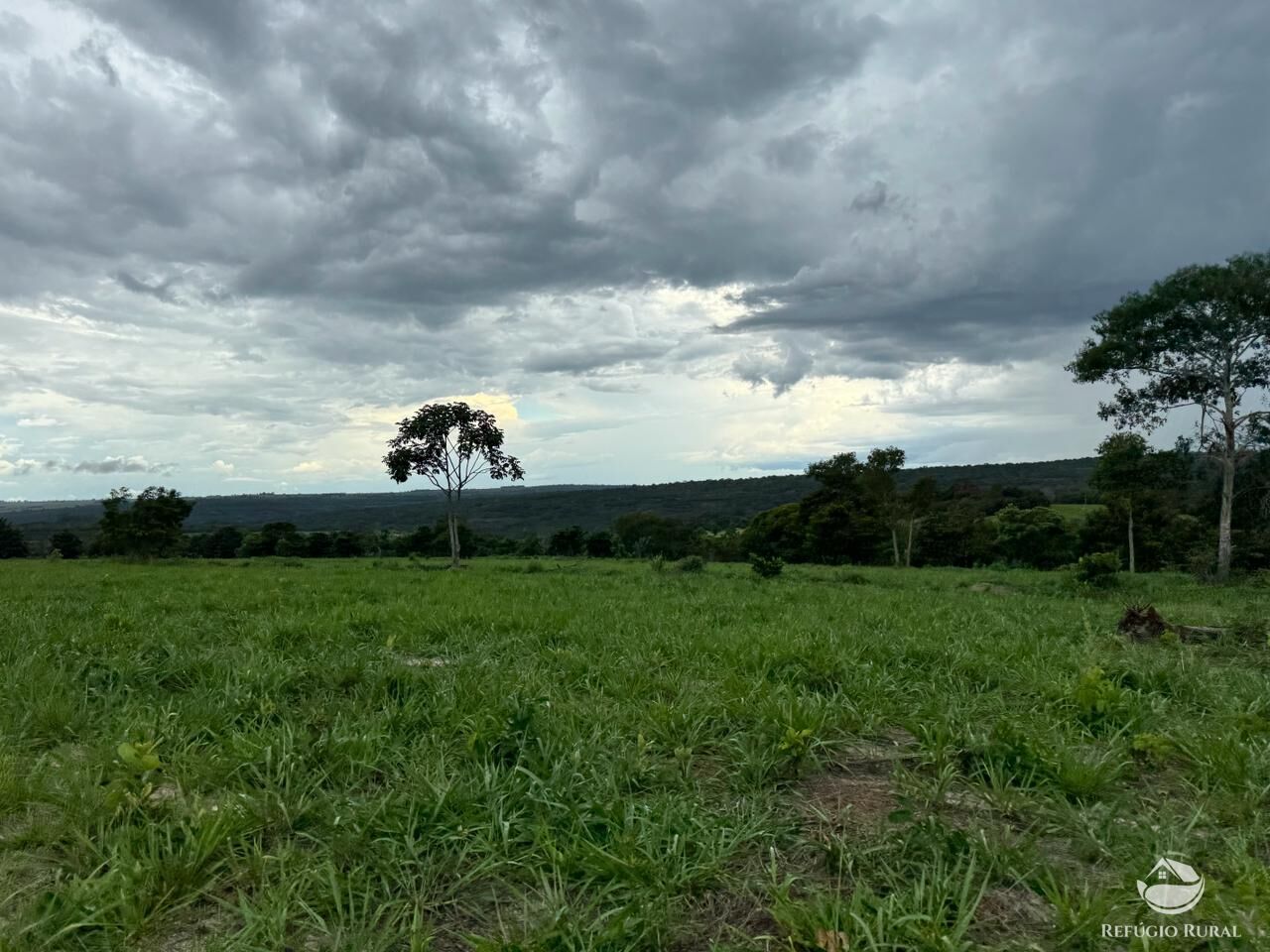 Fazenda à venda com 1 quarto, 19300000m² - Foto 3