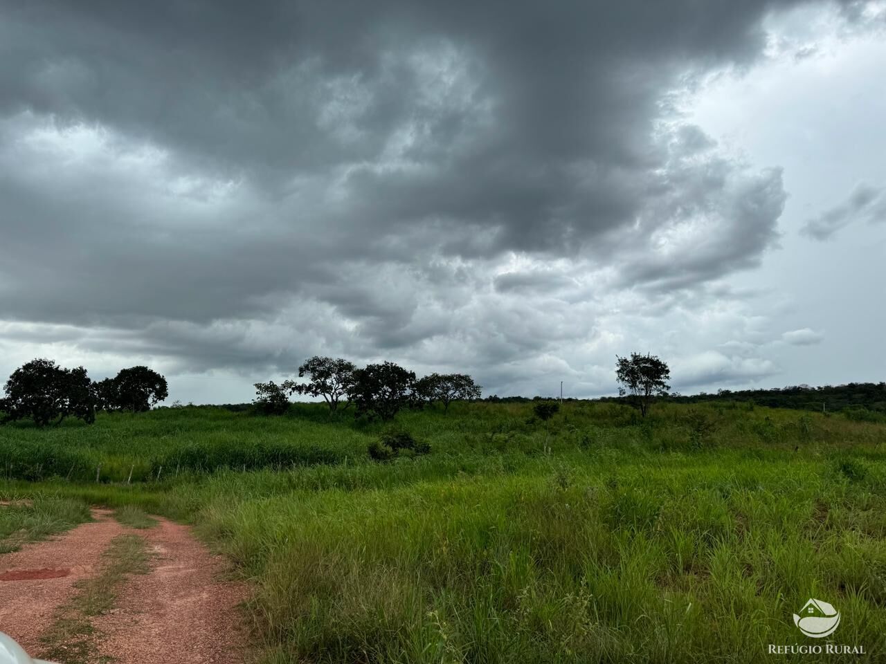 Fazenda à venda com 1 quarto, 19300000m² - Foto 13