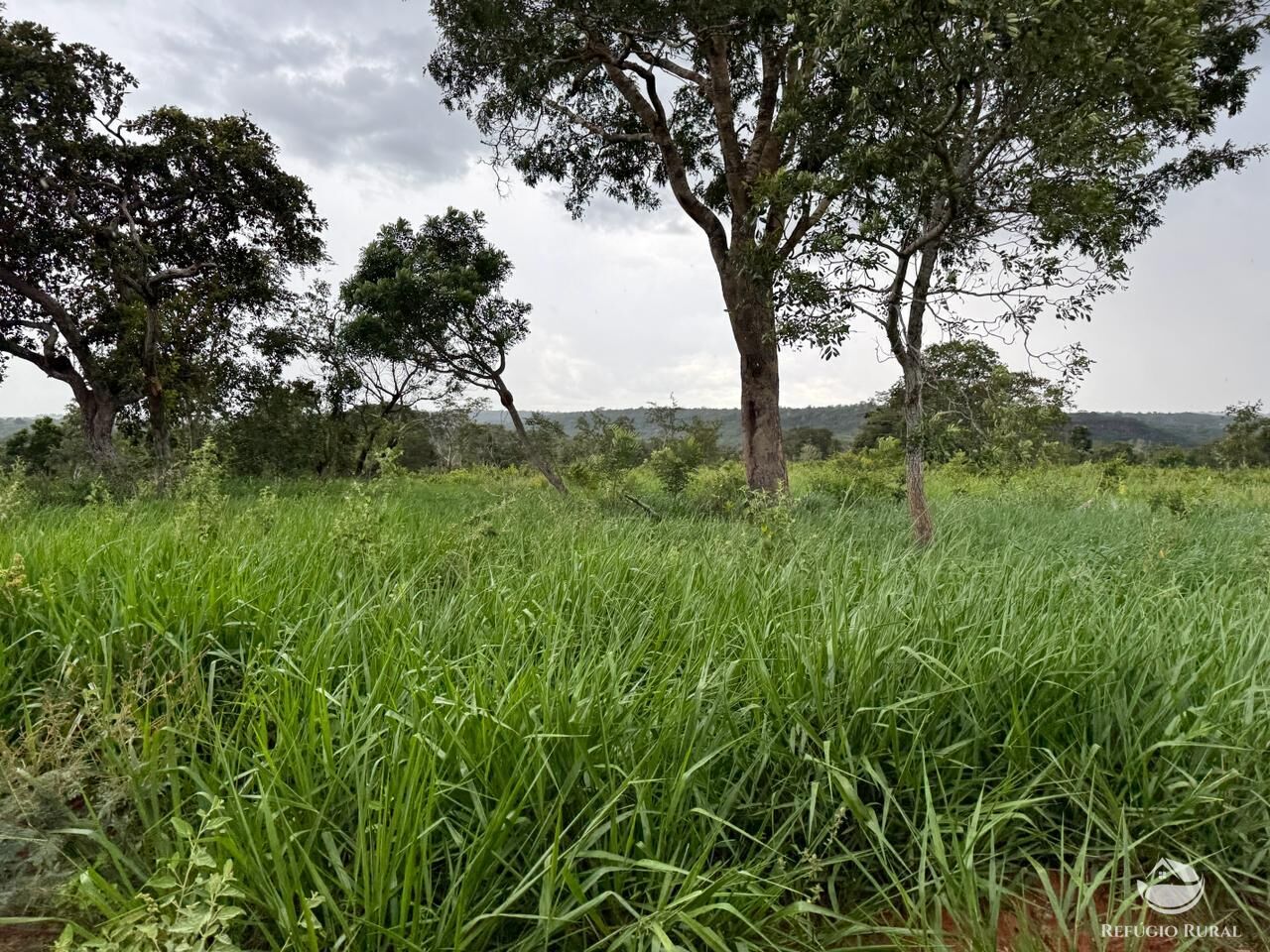 Fazenda à venda com 1 quarto, 19300000m² - Foto 11