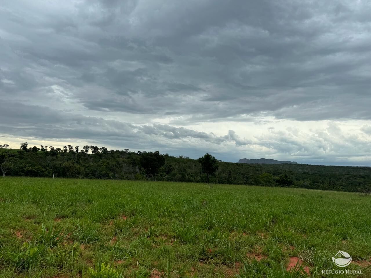 Fazenda à venda com 1 quarto, 19300000m² - Foto 10