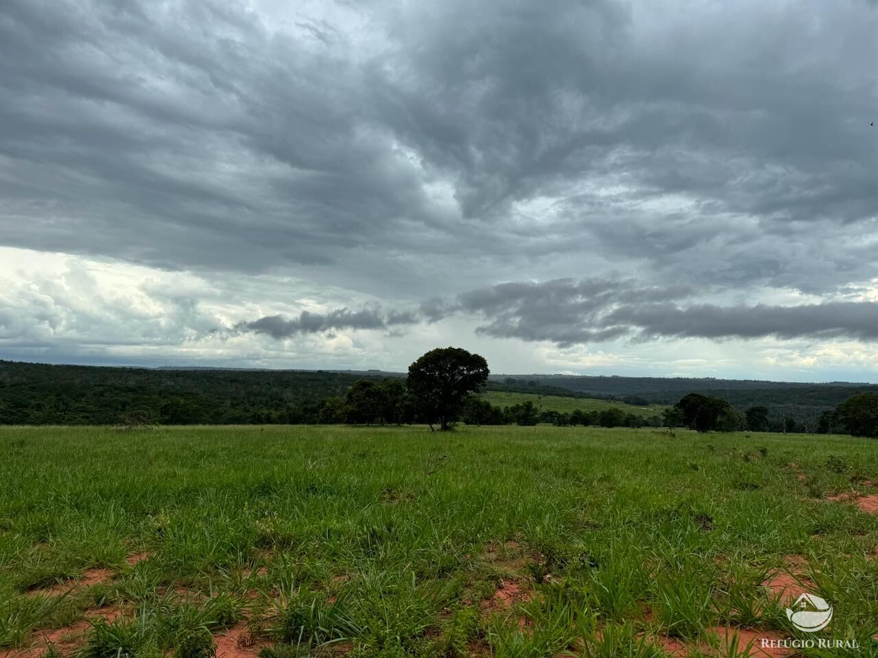 Fazenda à venda com 1 quarto, 19300000m² - Foto 7