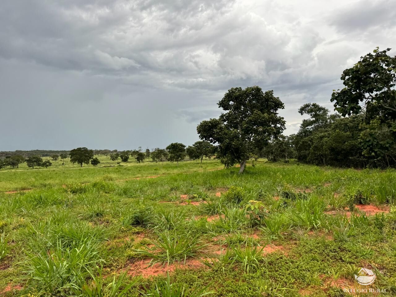 Fazenda à venda com 1 quarto, 19300000m² - Foto 5