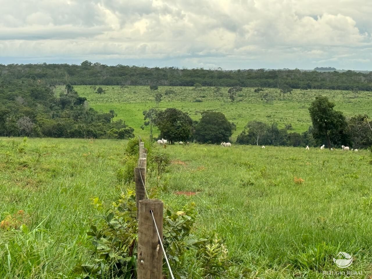 Fazenda à venda com 1 quarto, 19300000m² - Foto 2