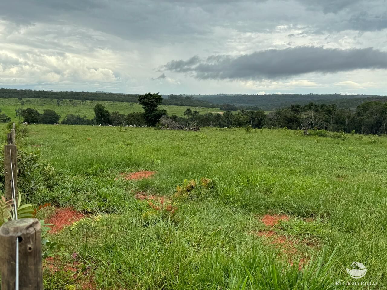 Fazenda à venda com 1 quarto, 19300000m² - Foto 8