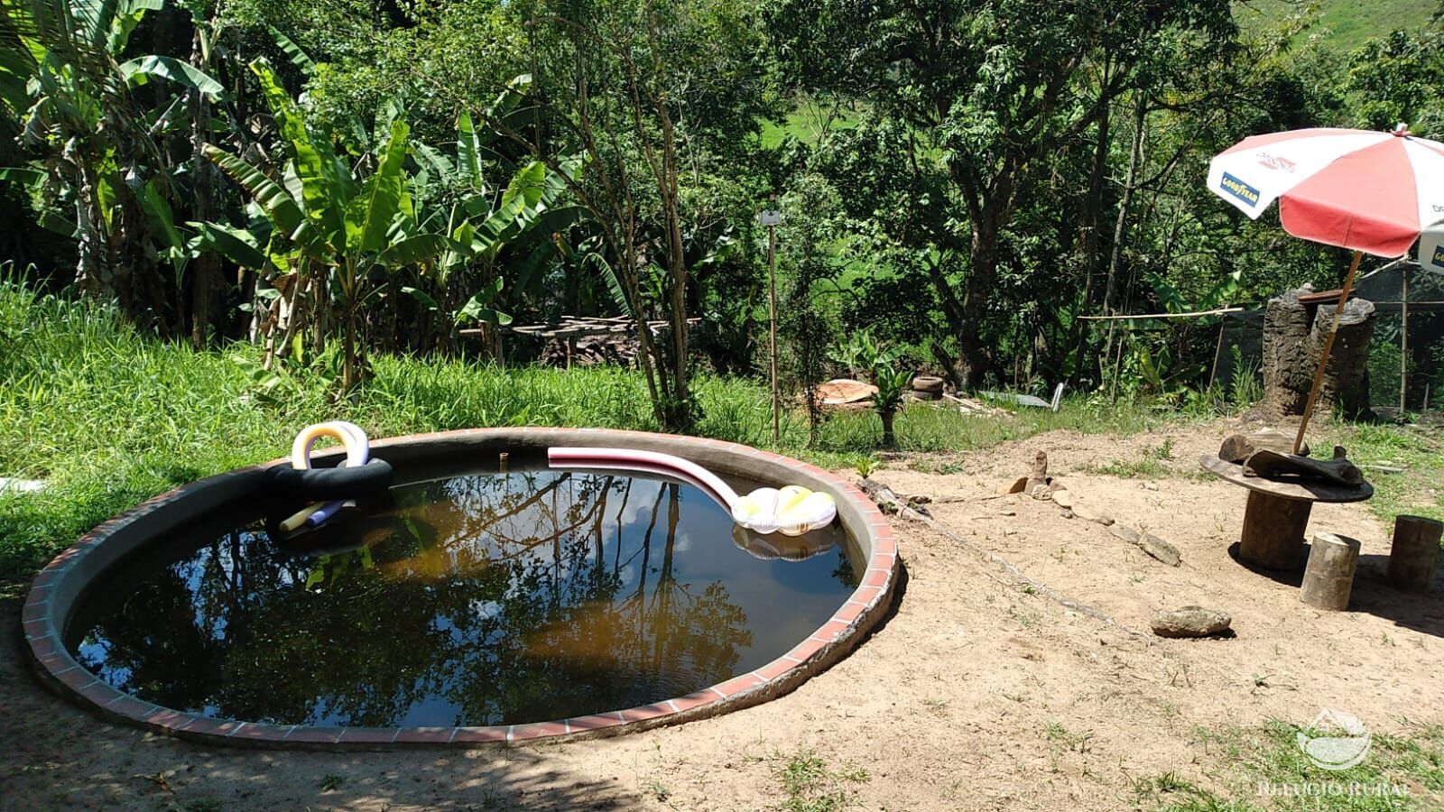 Fazenda à venda com 6 quartos, 3000m² - Foto 12