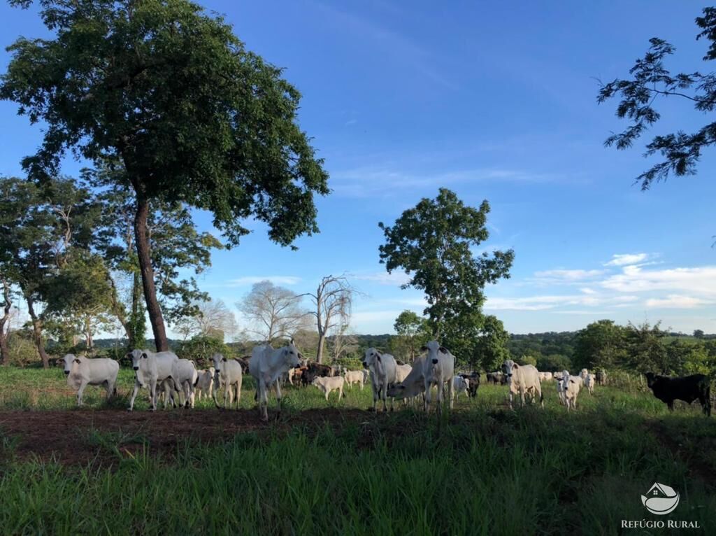 Fazenda à venda com 7 quartos, 78260000m² - Foto 2