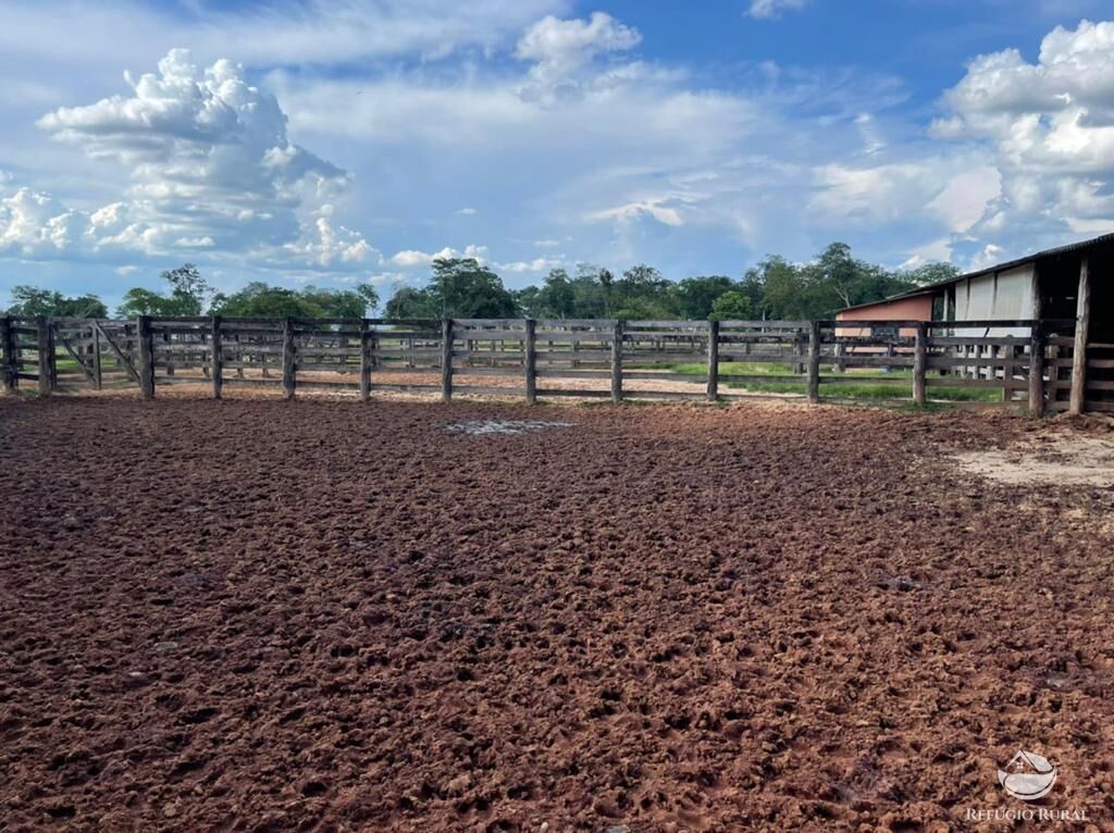 Fazenda à venda com 7 quartos, 78260000m² - Foto 7