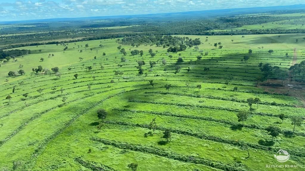 Fazenda à venda com 7 quartos, 78260000m² - Foto 1