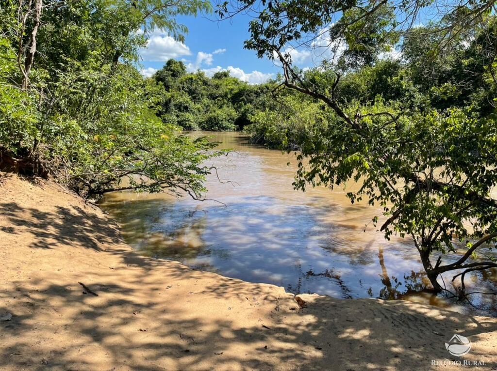 Fazenda à venda com 7 quartos, 78260000m² - Foto 3