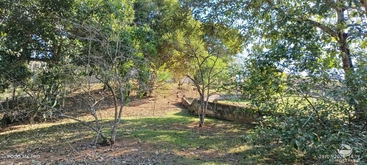 Chácara, 3 quartos, 2700 m² - Foto 11