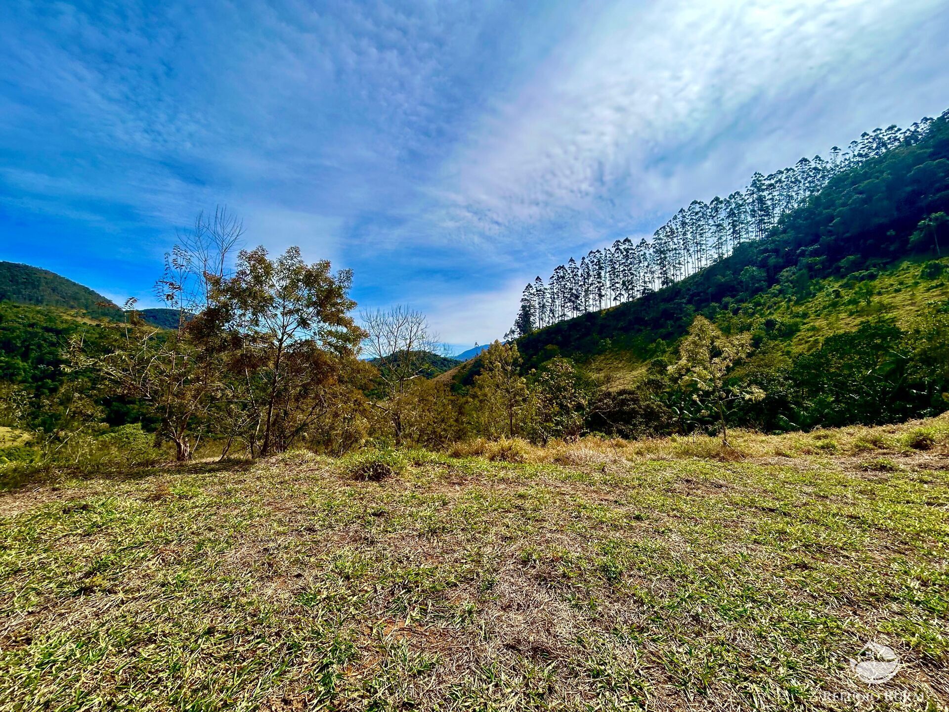Terreno à venda, 20000m² - Foto 2