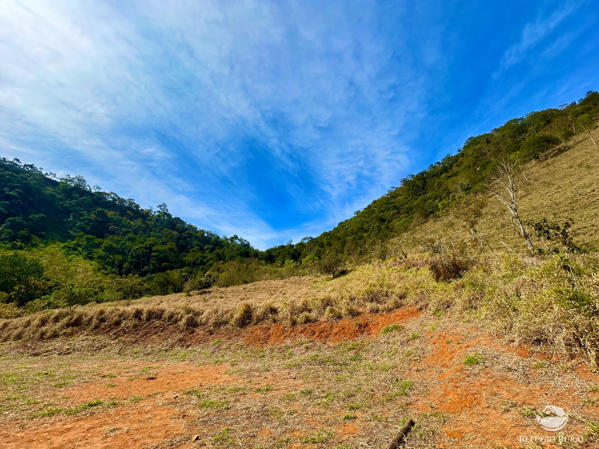 Terreno à venda, 20000m² - Foto 5