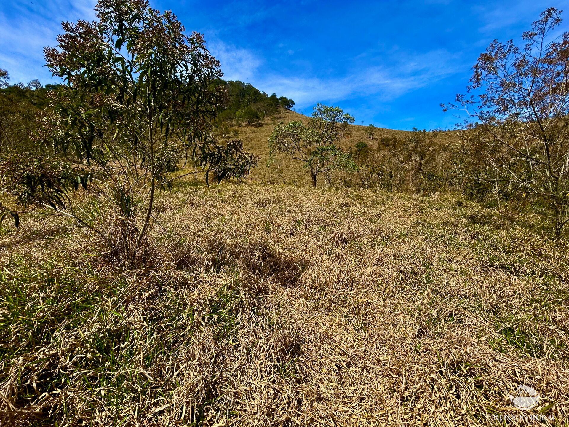 Terreno à venda, 20000m² - Foto 9
