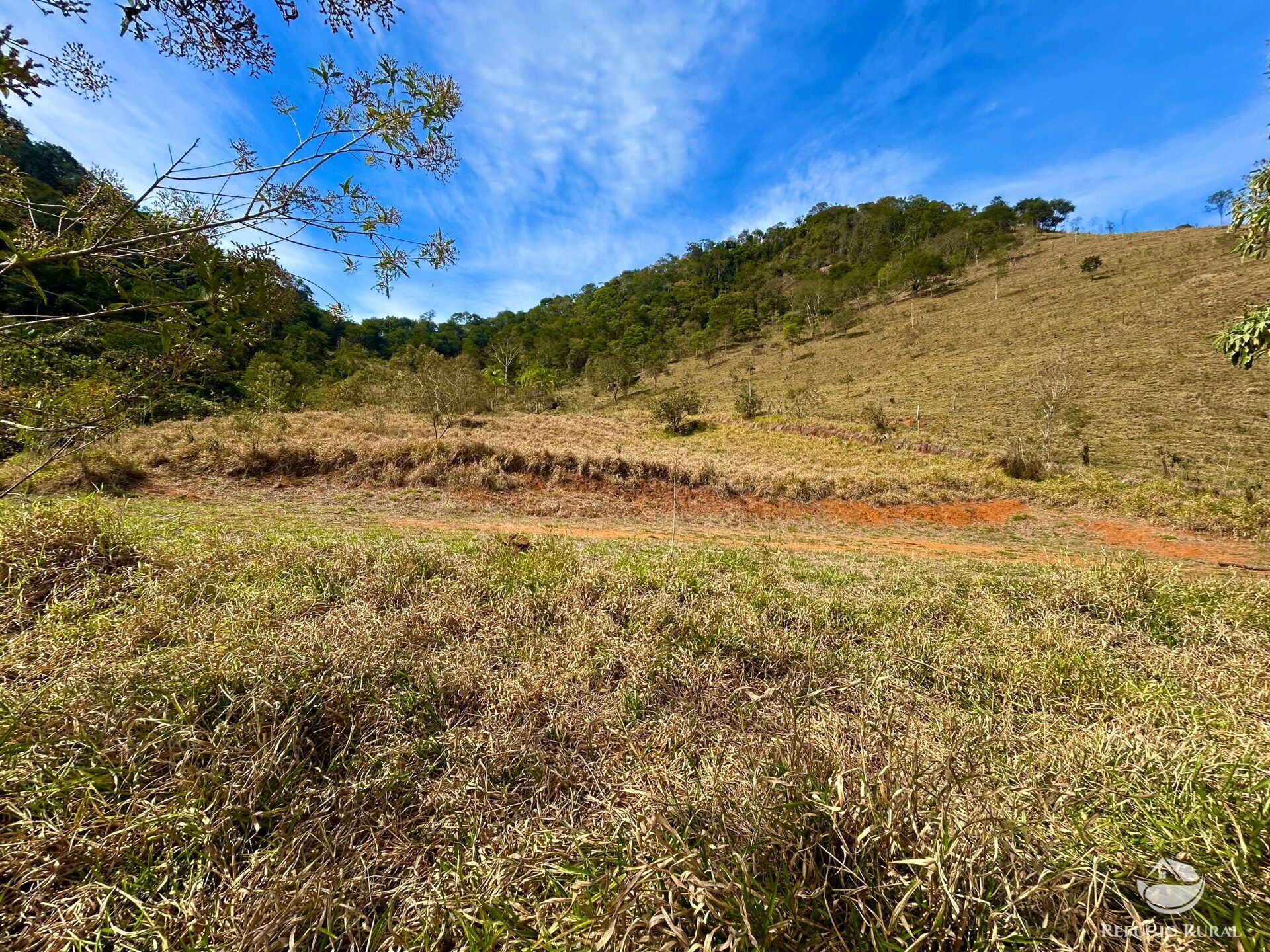 Terreno à venda, 20000m² - Foto 8