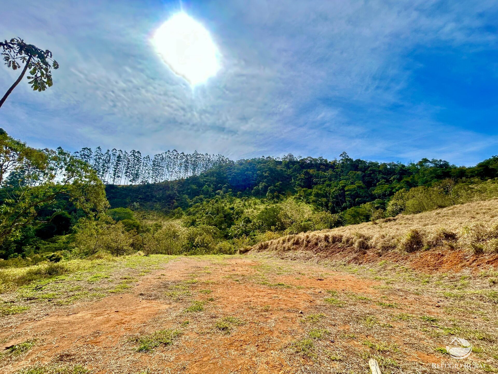 Terreno à venda, 20000m² - Foto 6