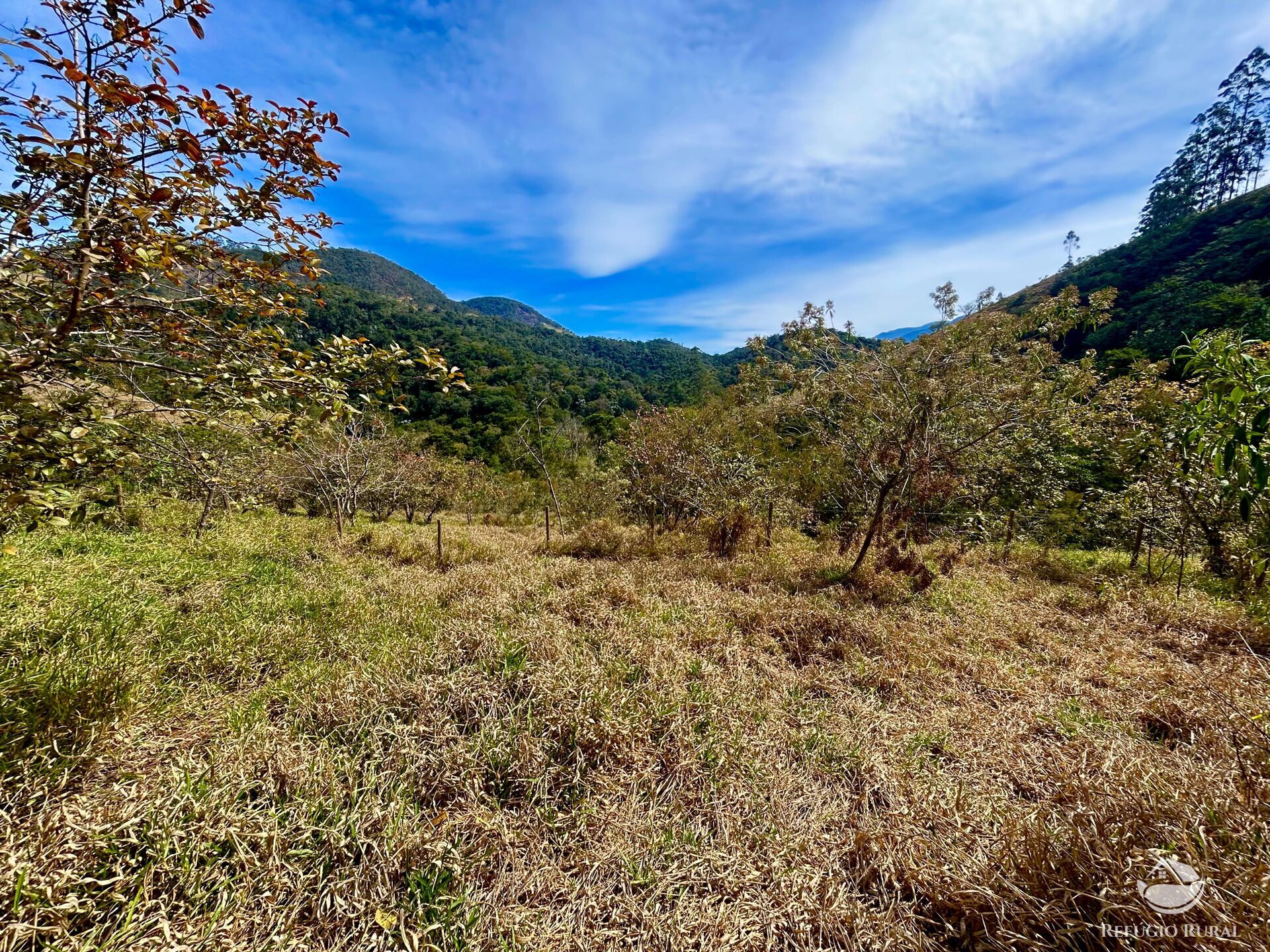 Terreno à venda, 20000m² - Foto 11